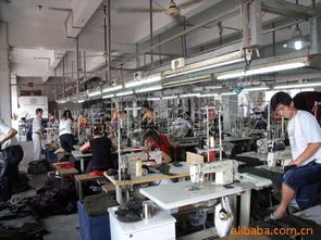 韓金池服裝加工產(chǎn)品列表與家用視聽設備零售業(yè)務概述